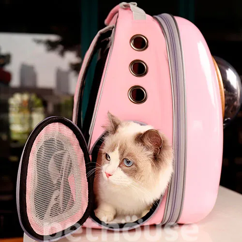 Тимчасова процедура щодо переміщення домашніх тварин до ЄС (Польща, Словаччина, Румунія та Угорщина) під час тривання збройного конфлікту