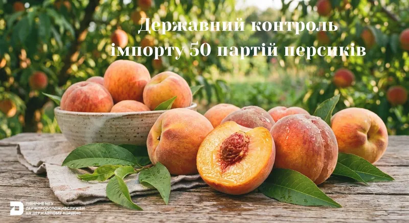 Державний контроль імпорту 50 партій персиків