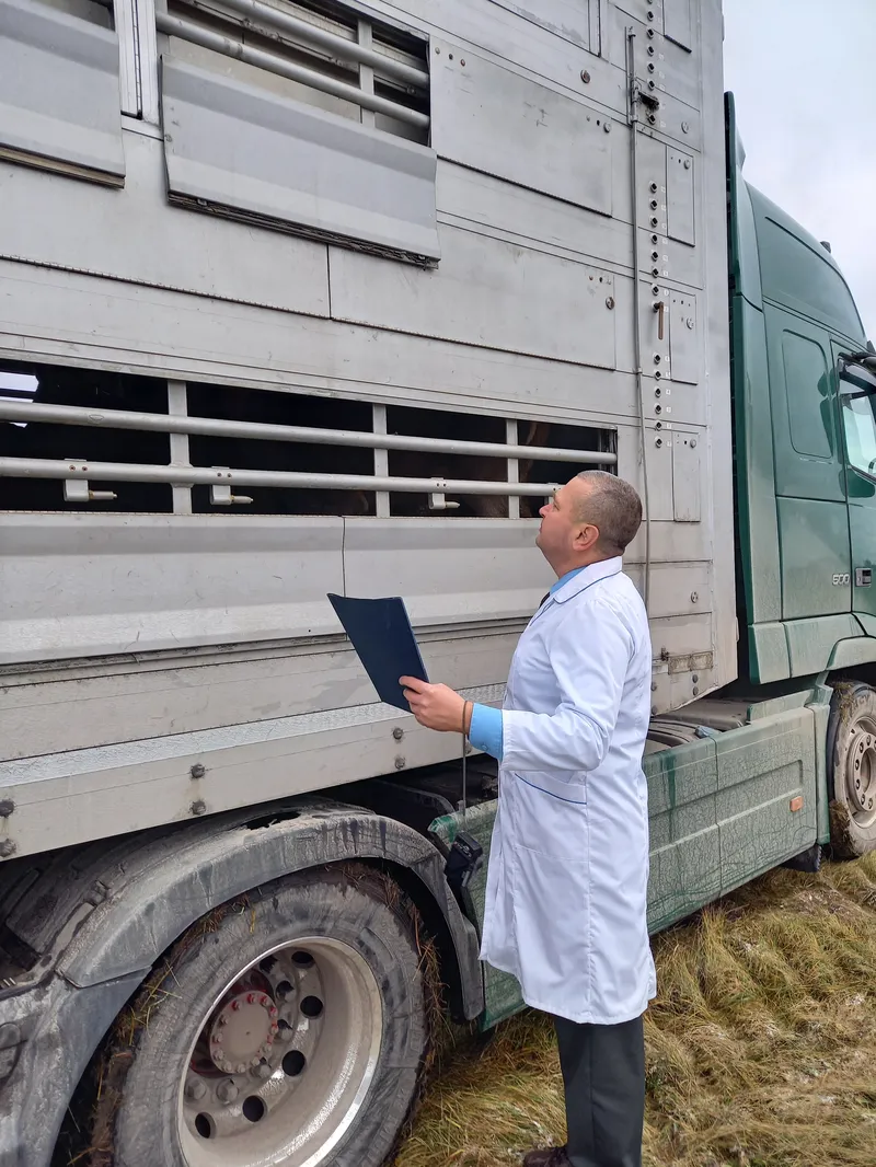 Литовські благородні олені прибули в Україну