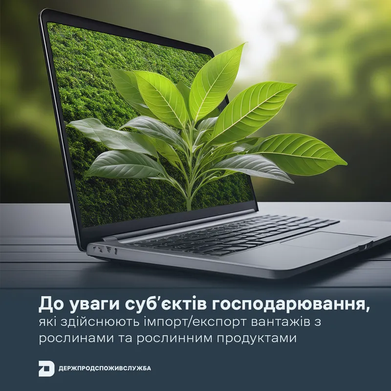 До уваги суб’єктів господарювання, які здійснюють імпорт/експорт вантажів з рослинами та рослинними продуктами!