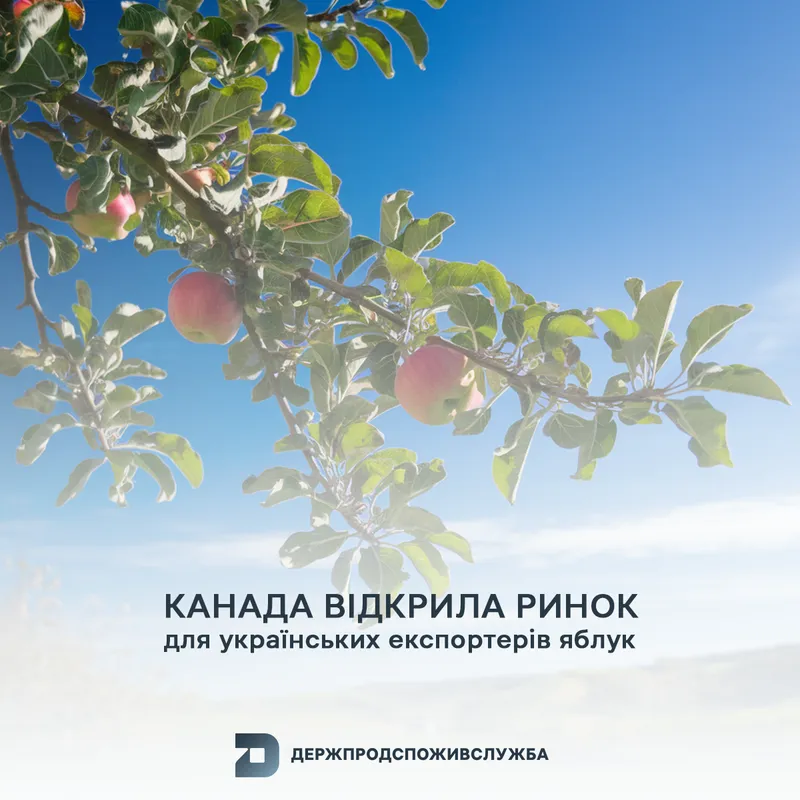 Канада відкрила ринок для українських експортерів яблук