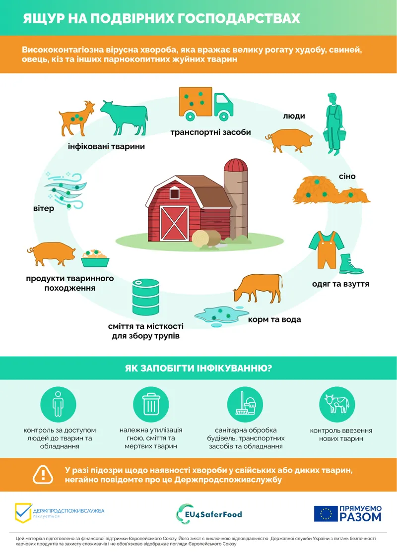 Недопущення ящуру у приватних господарствах