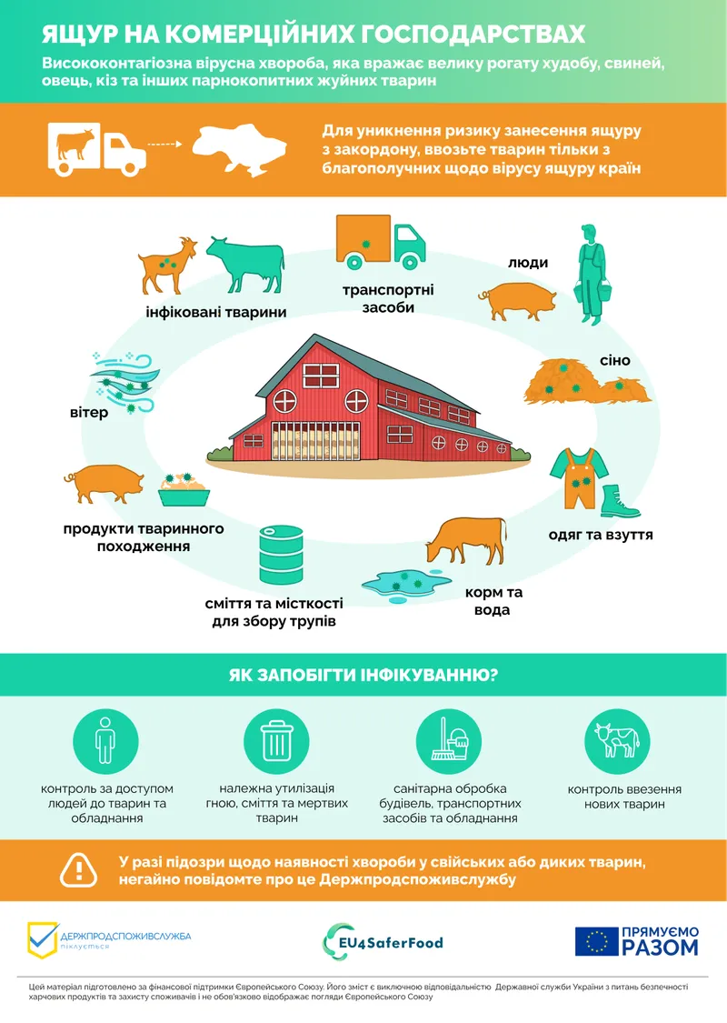 Комерційні господарства мають дотримуватись закритого режиму роботи для убезпечення від ящуру