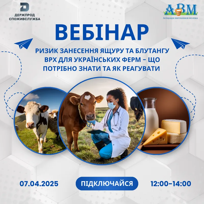 Вебінар: ризик занесення ящуру та блутангу ВРХ для українських ферм - що потрібно знати та як реагувати