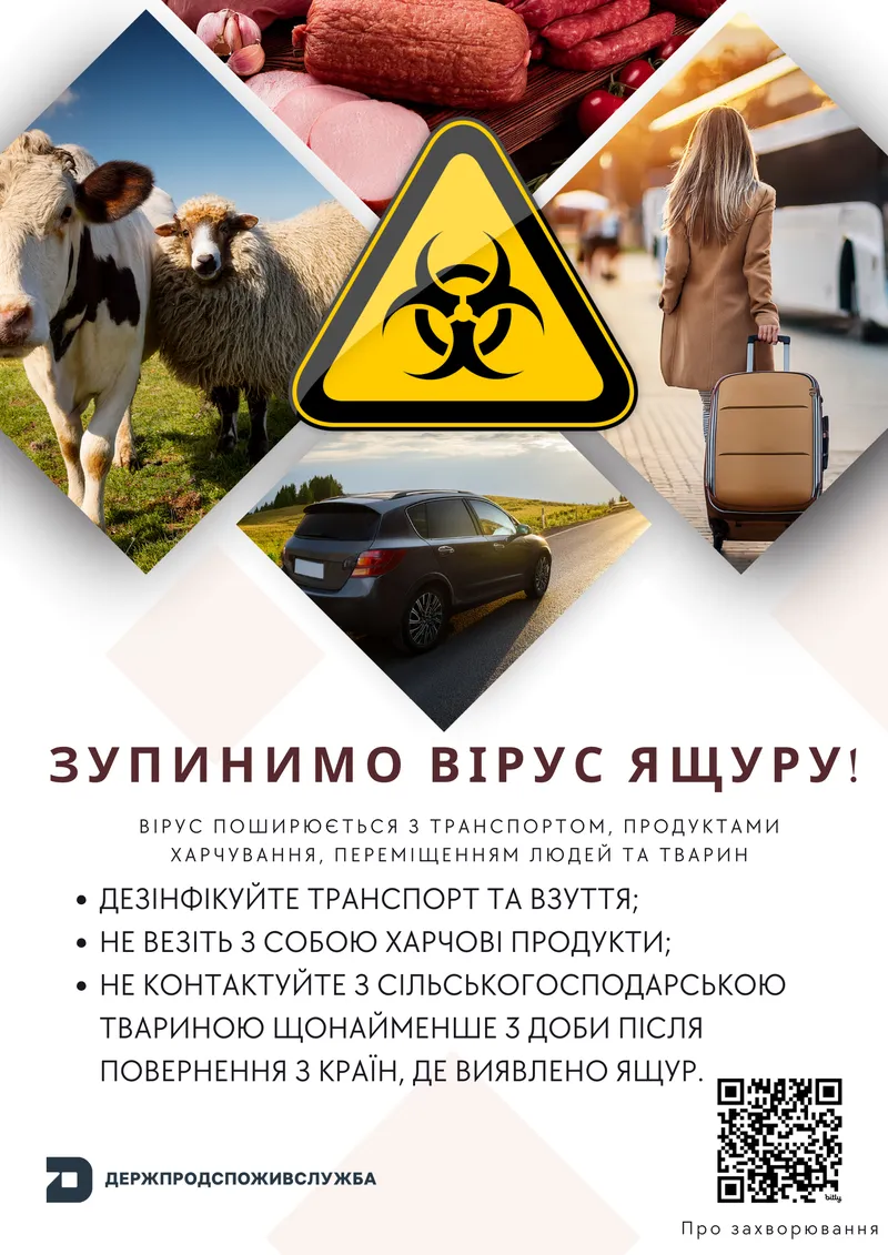 Повертаєтесь з-за кордону - будьте уважні, щоб не допустити проникнення ящуру на територію України