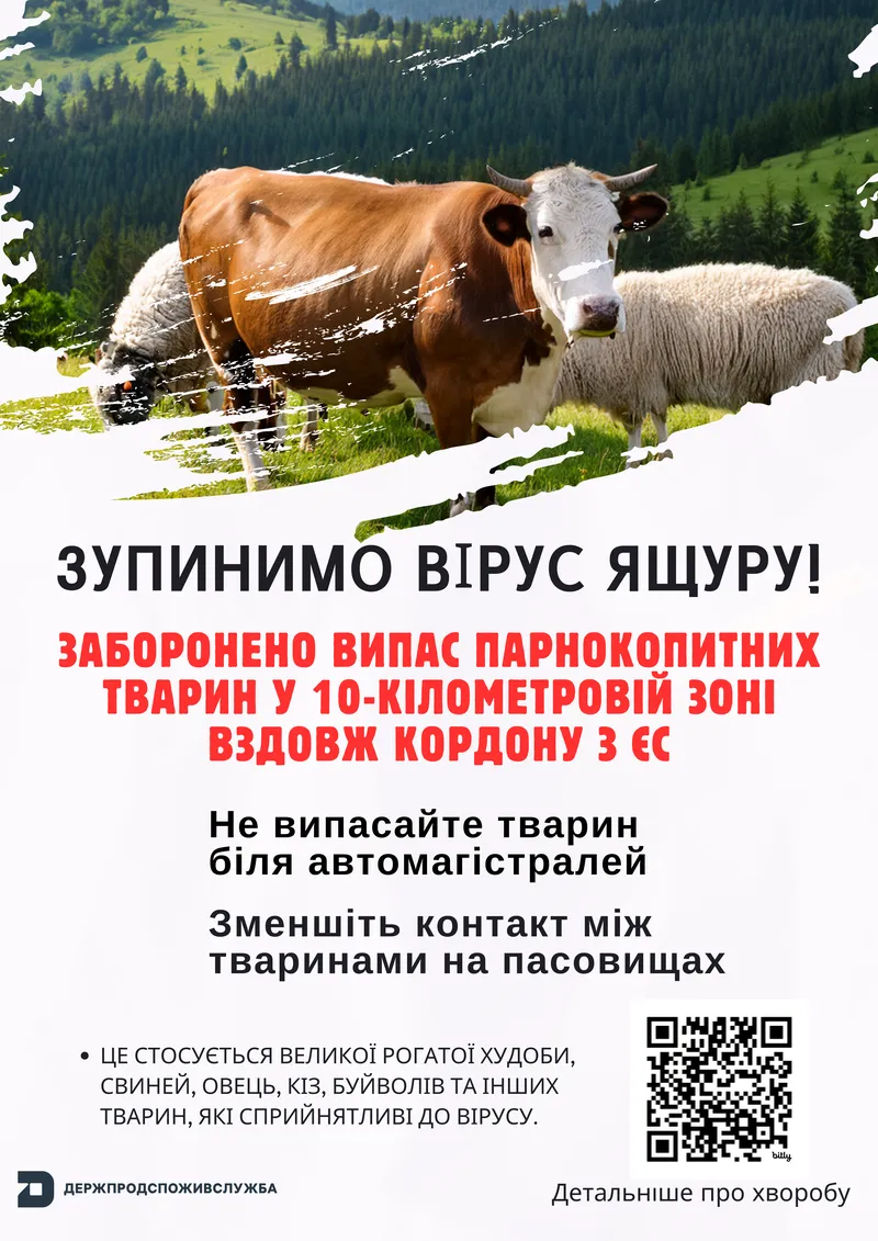 Для захисту від ящуру заборонено випас худоби в 10-кілометровій вздовж кордону