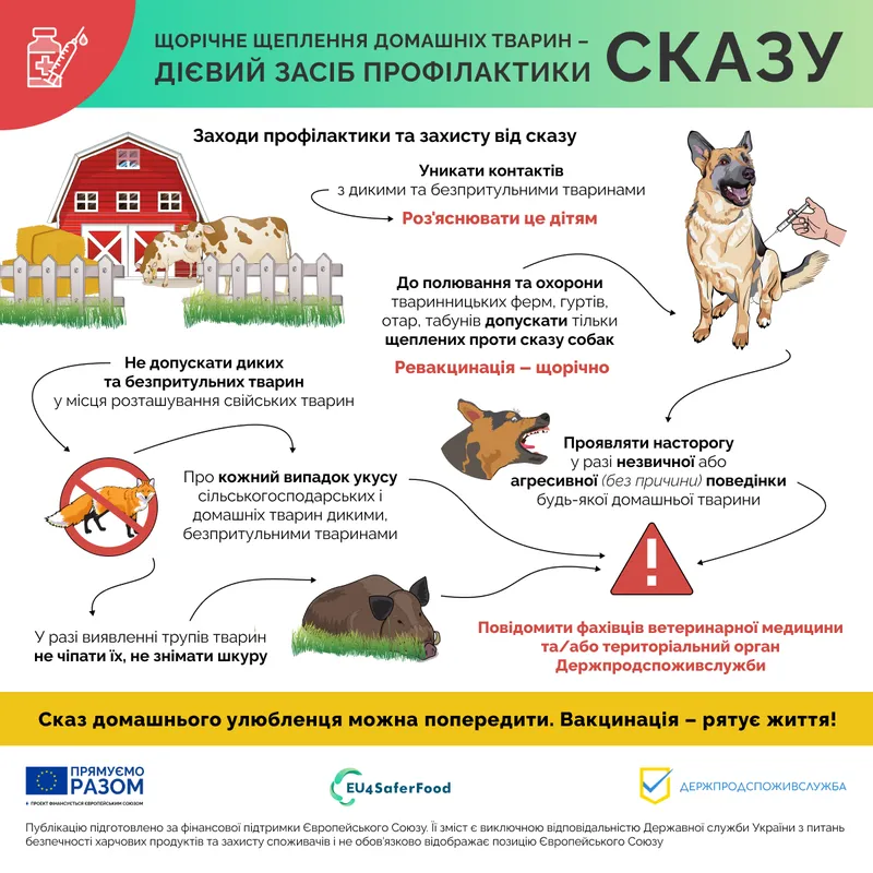 Як уберегти свого улюбленця від сказу?