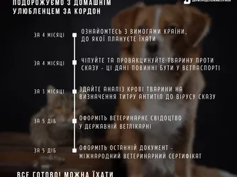 Чек-лист для подорожі з домашнім улюбленцем за кордон