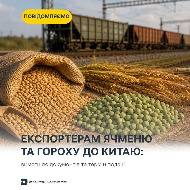 Експортерам ячменю та гороху до Китаю: вимоги до документів та термін подачі