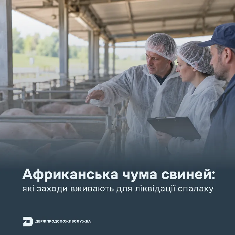 АЧС: які заходи вживають для ліквідації спалаху