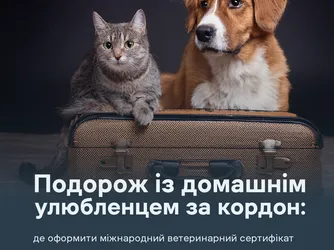 Подорож із домашнім улюбленцем за кордон: де оформити міжнародний ветеринарний сертифікат