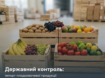 Державний контроль: імпорт плодоовочевої продукції