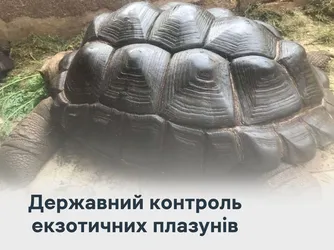 Державний контроль екзотичних плазунів
