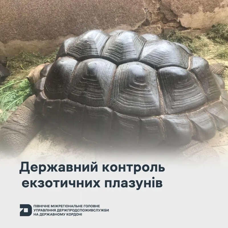 Державний контроль екзотичних плазунів