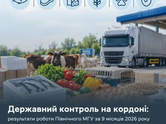 Державний контроль на кордоні: результати роботи Північного МГУ за 9 місяців 2026 року