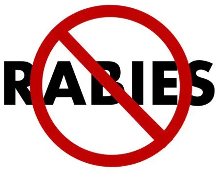 Контроль епізоотичної ситуації щодо сказу