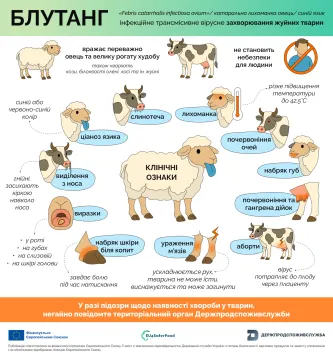 Блутанг: клінічні ознаки