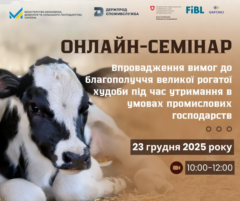 Нові вимоги вже близько: онлайн-семінар для промислових господарств щодо благополуччя ВРХ