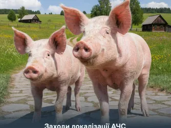 Заходи локалізації АЧС