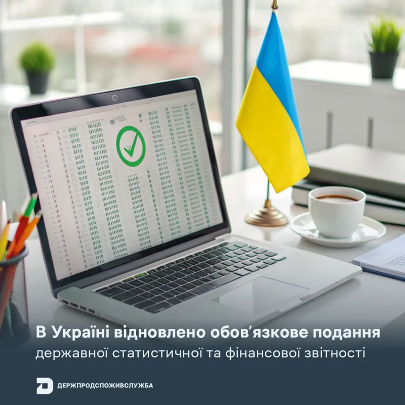 В Україні відновлено обов’язкове подання державної статистичної та фінансової звітності