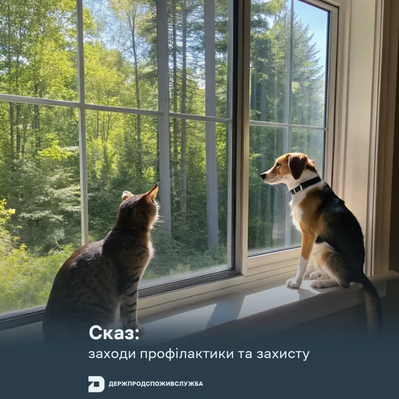 Сказ: заходи профілактики та захисту