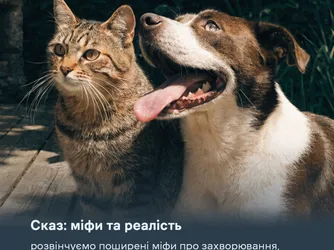 Сказ: міфи та реалість