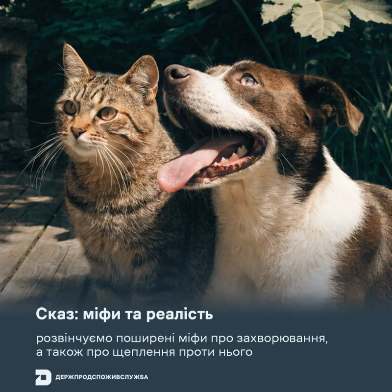 Сказ: міфи та реалість