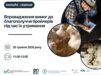 Вимоги до благополуччя бройлерів: практичні аспекти для операторів ринку
