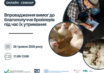 Вимоги до благополуччя бройлерів: практичні аспекти для операторів ринку