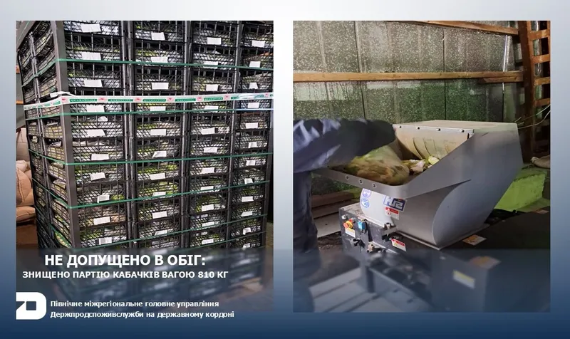 Не допущено в обіг:  знищено партію кабачків вагою 810 кг