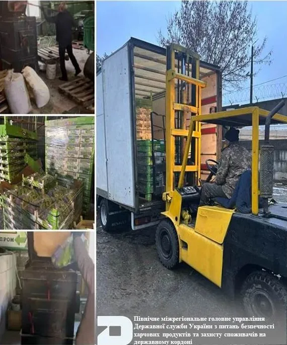 Державний контроль вантажу:  знищено партію небезпечних кабачків