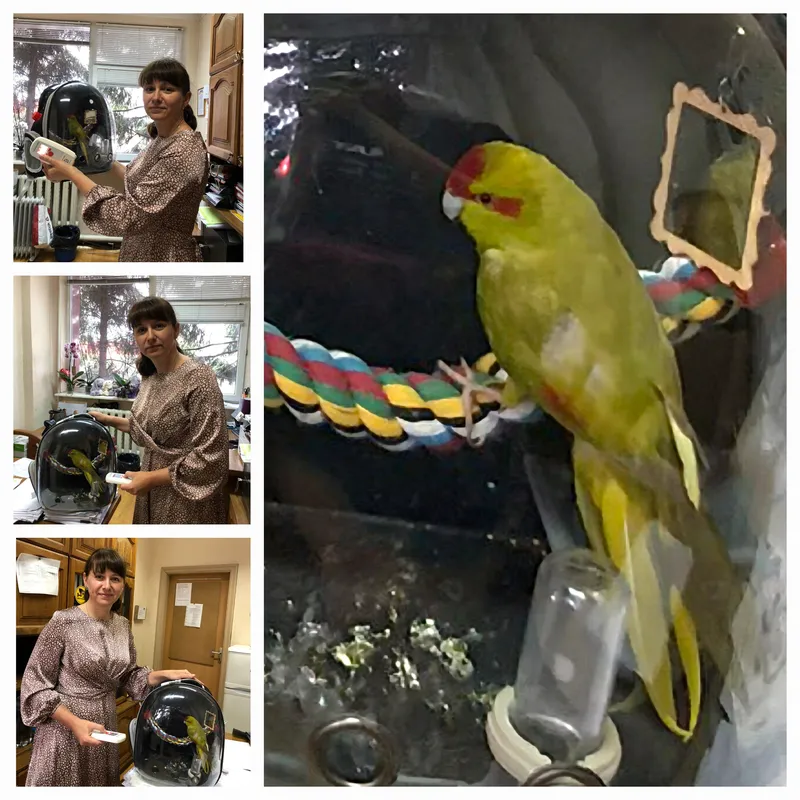 Подорожуємо разом з пернатими!