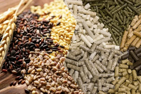 Сьогодні, не зважаючи на щоденні виклики, Україна залишається надійним експортером на міжнародному ринку