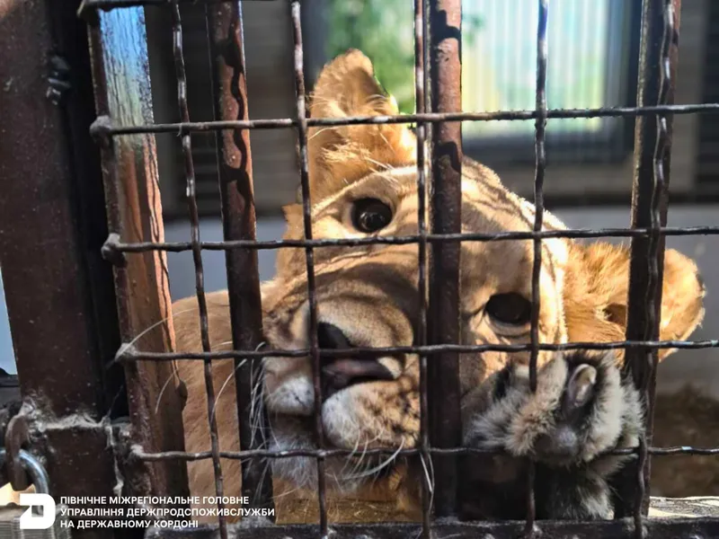 Державний ветеринарно-санітарний контроль екзотичних тварин