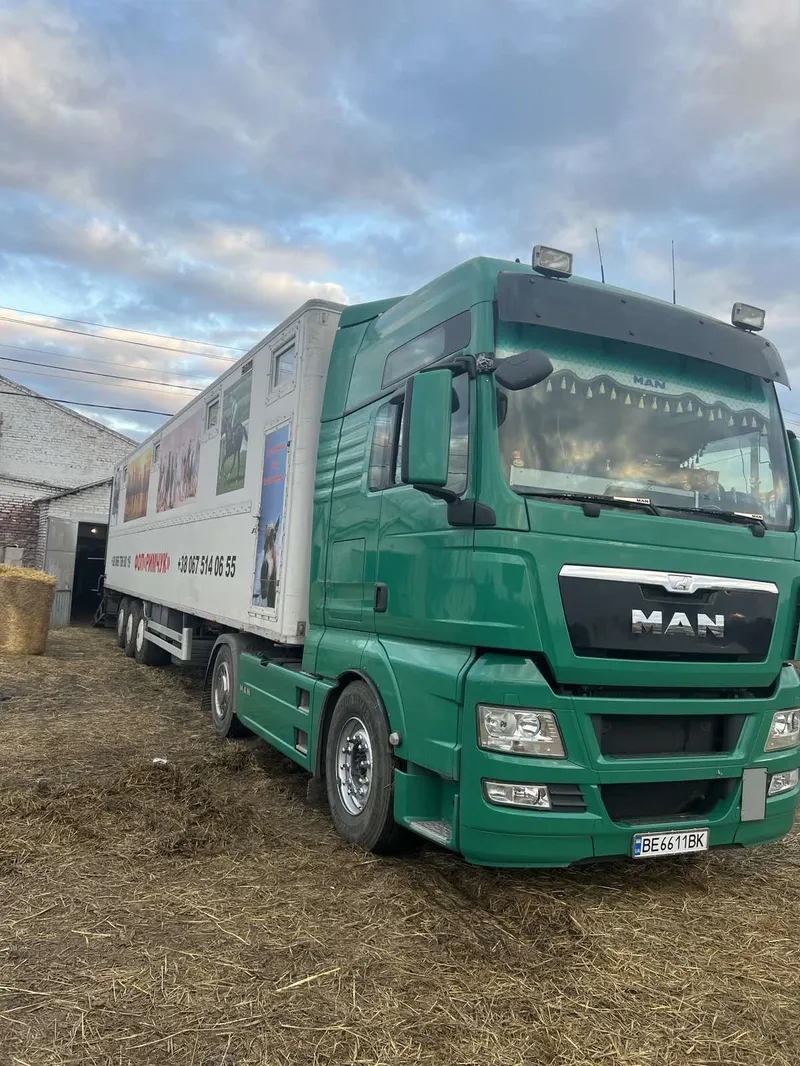 Спортивні змагання коней в Польщі