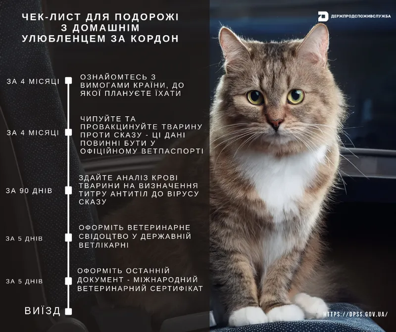 Чек-лист для подорожі з домашнім улюбленцем за кордон