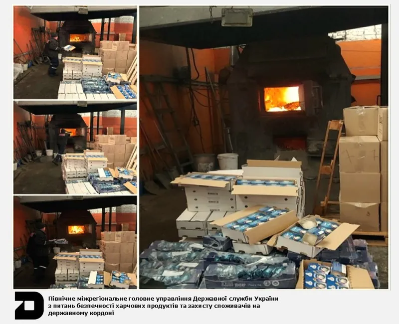 Державний контроль вантажу: знищено небезпечний сир