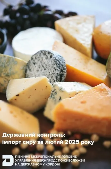 Державний контроль: імпорт сиру за лютий 2025 року