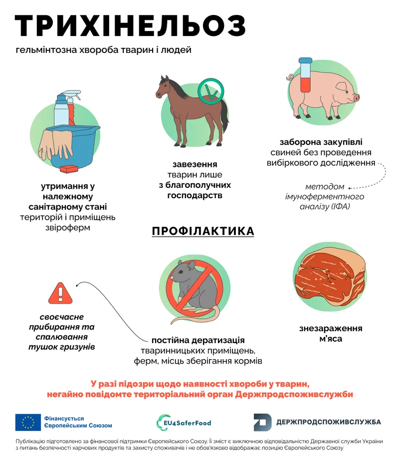 Трихінельоз: як запобігти захворюванню