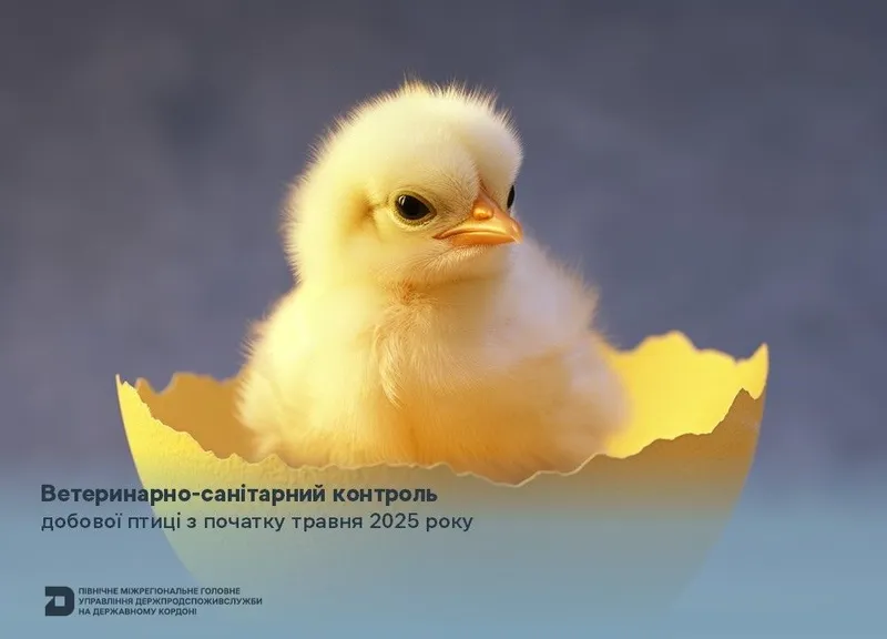 Ветеринарно-санітарний контроль добової птиці з початку травня 2025 року
