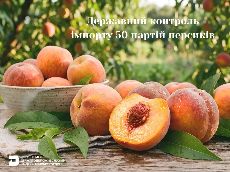 Державний контроль імпорту 50 партій персиків