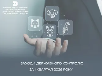 Заходи державного контролю за І квартал 2026 року