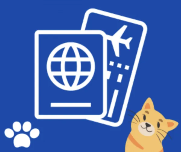 Отримання міжнародного ветеринарного сертифікату для виїзду з твариною-компаньйоном за межі території України з міста Києва та адреси місць оформлення.