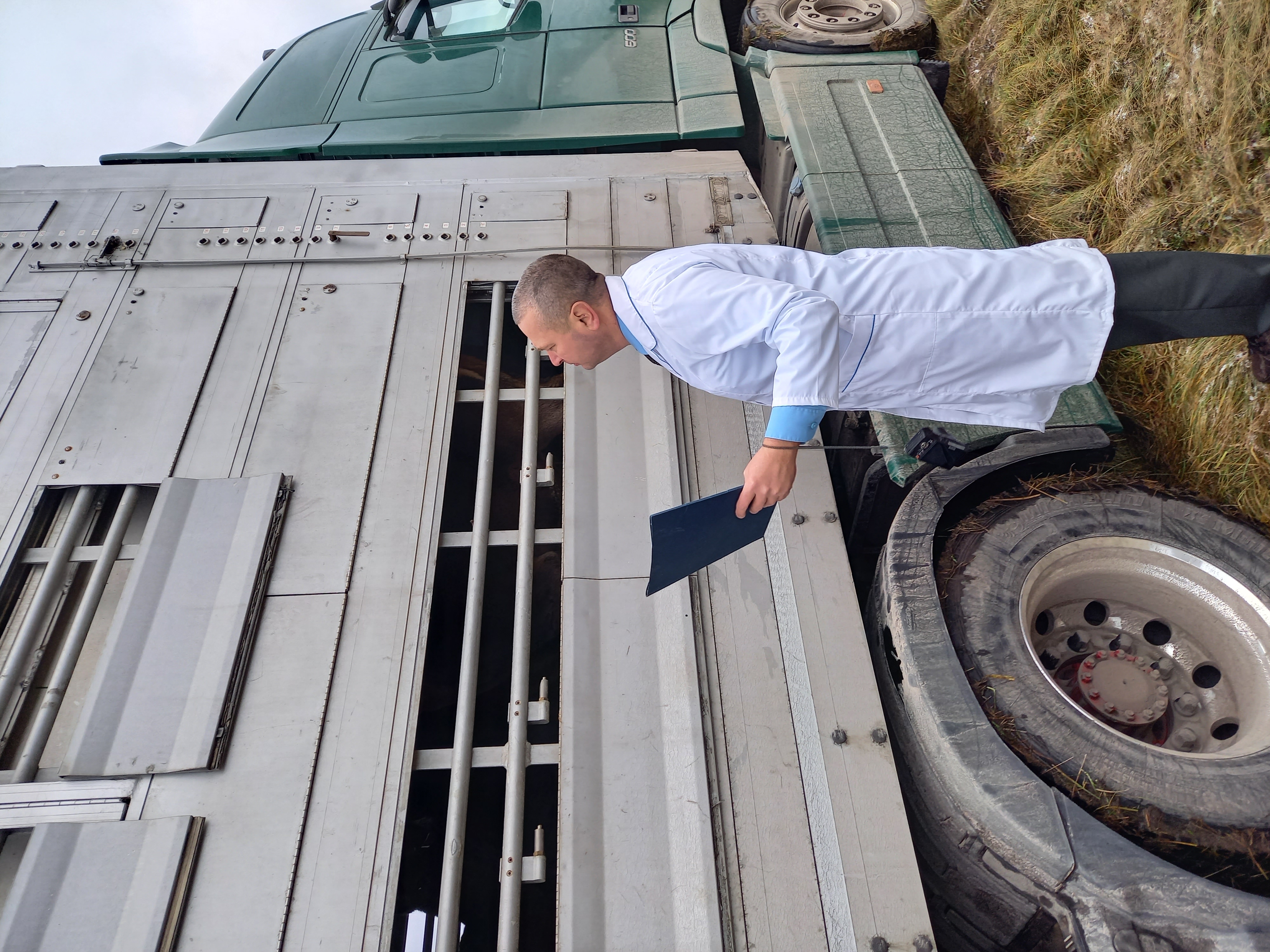 Литовські благородні олені прибули в Україну
