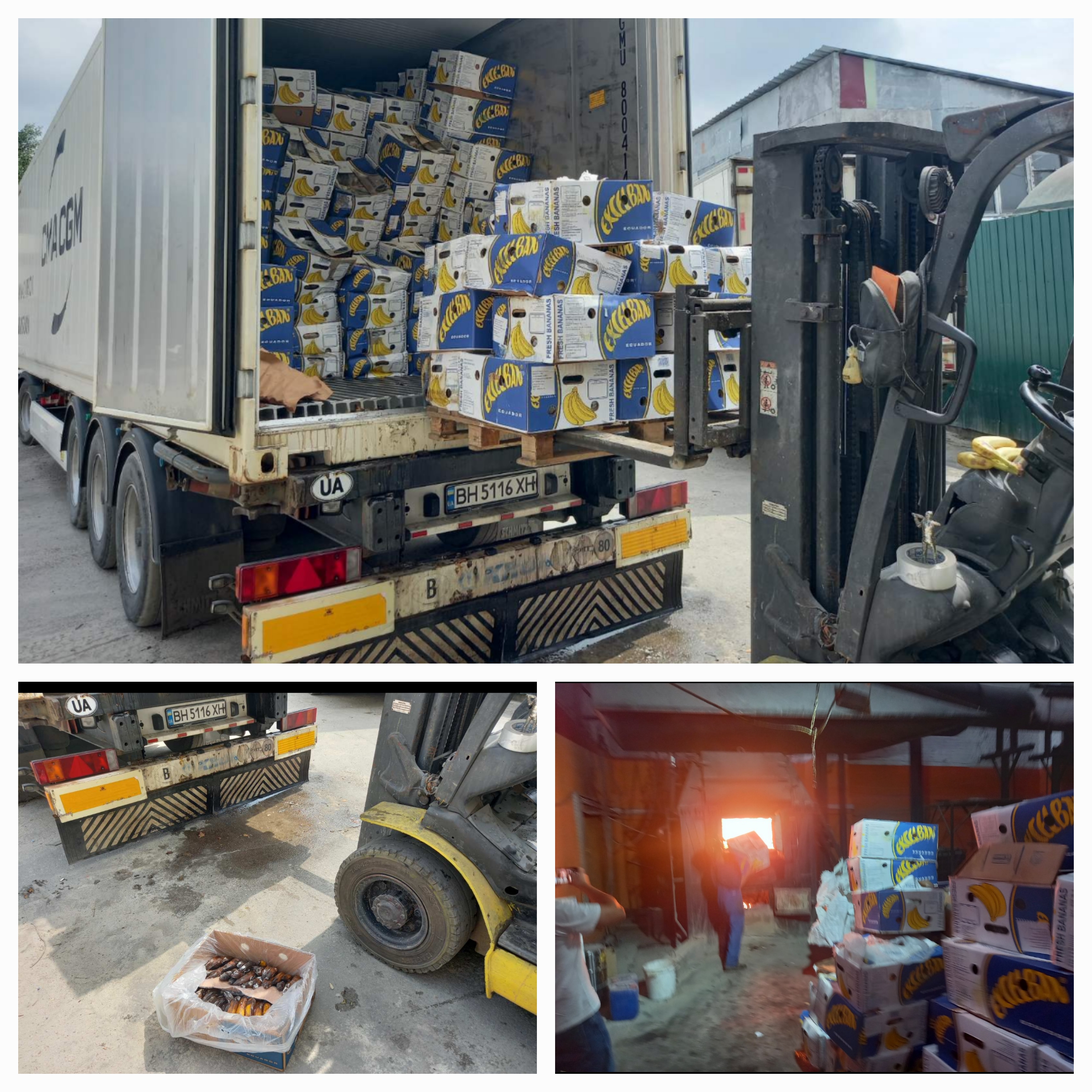 СТОП зіпсованим продуктам