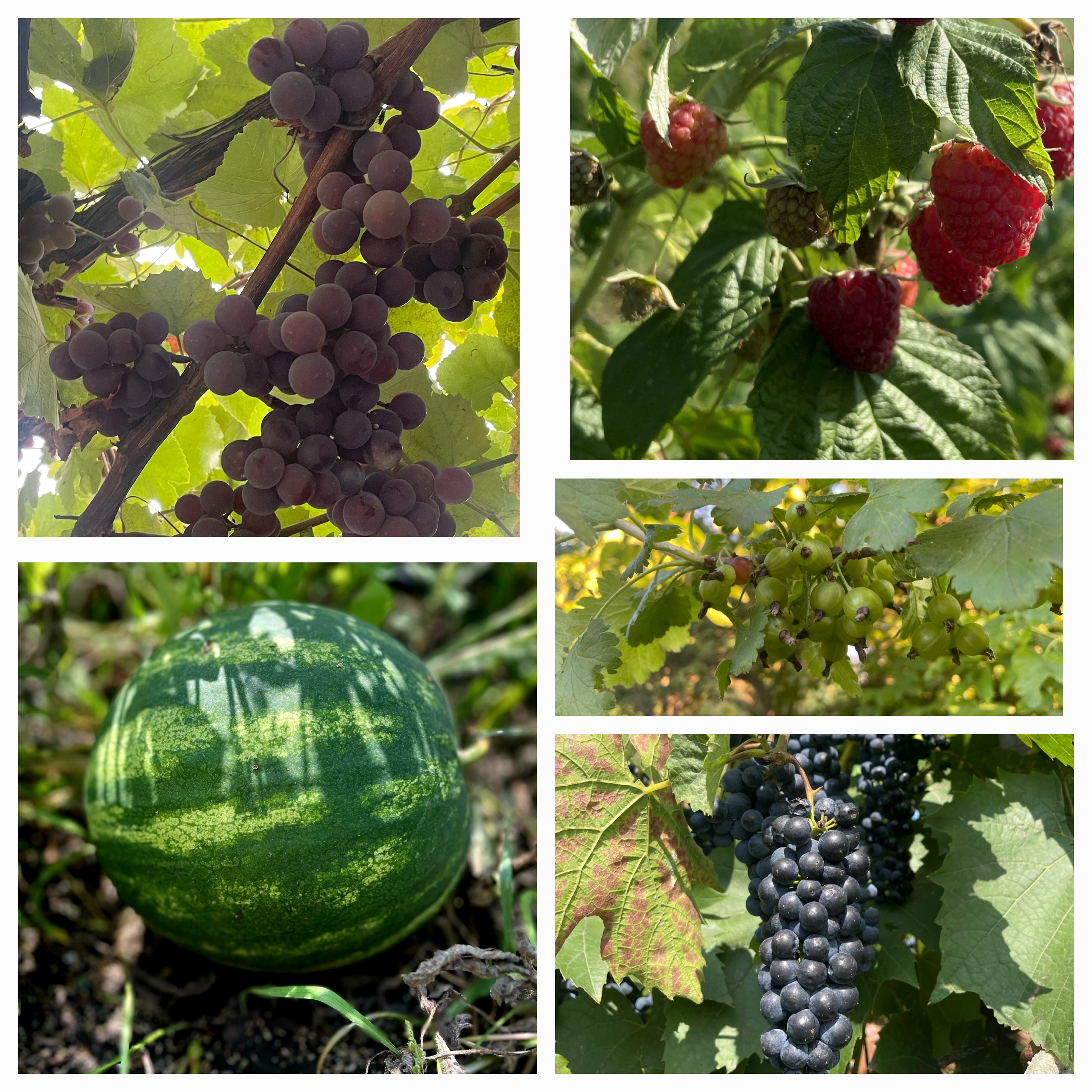 Користь щодня!