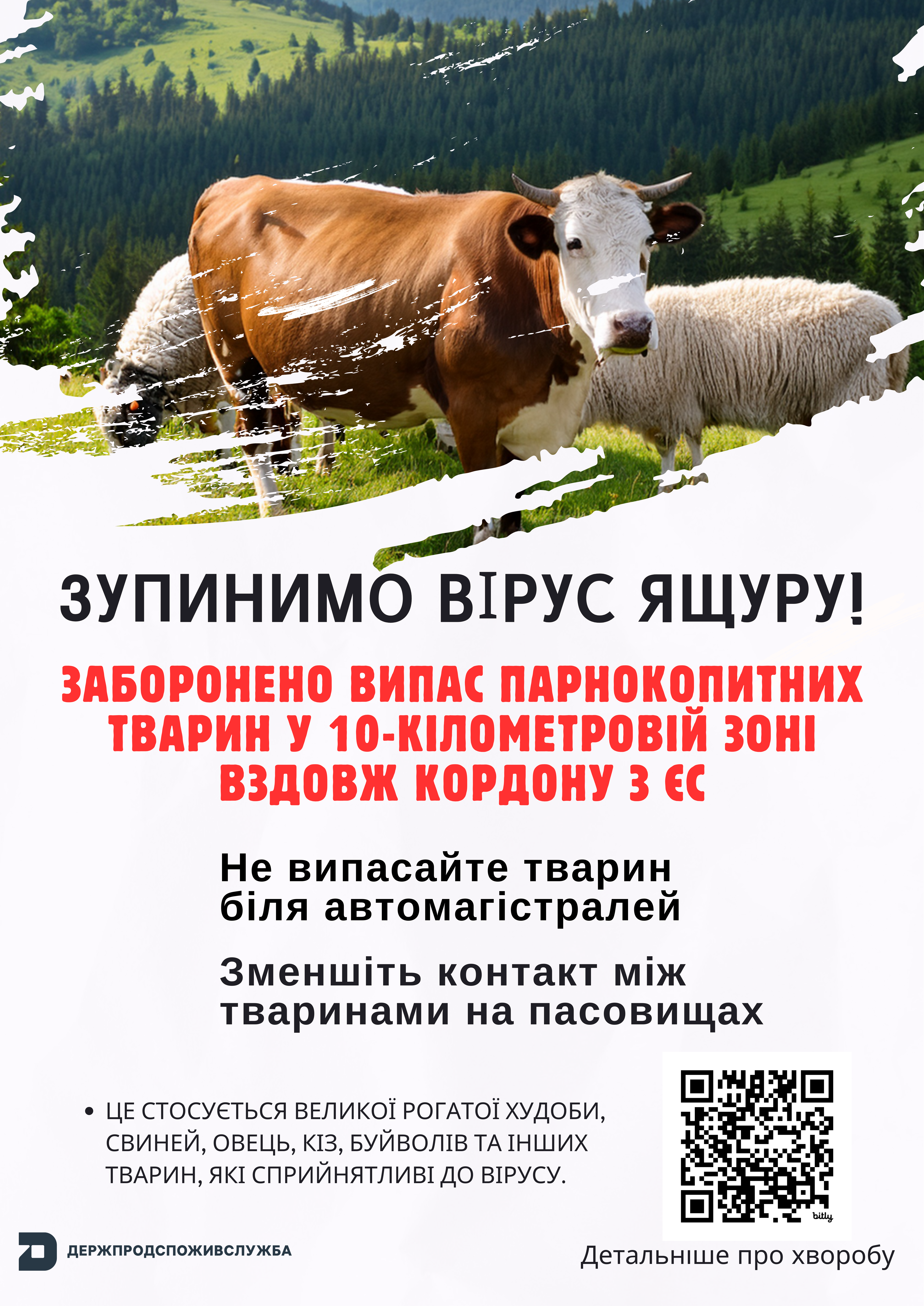 Для захисту від ящуру заборонено випас худоби в 10-кілометровій вздовж кордону